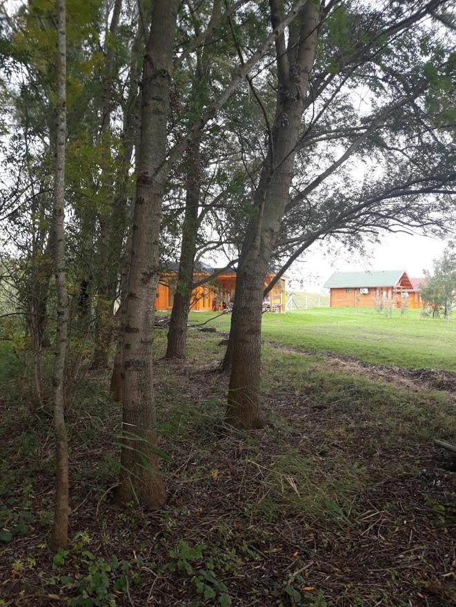 Apartament Korcal Fahazak Koronco Zewnętrze zdjęcie